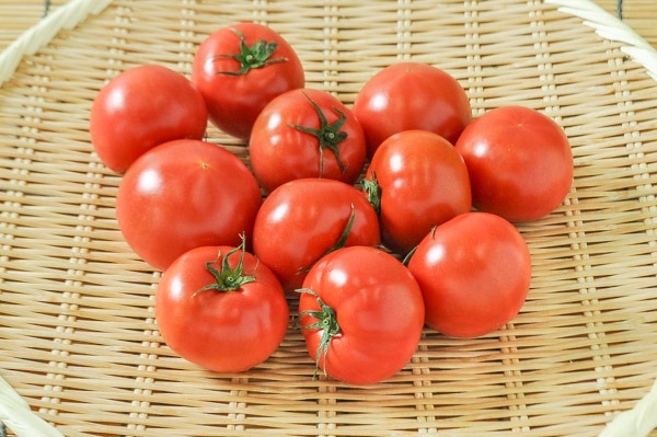 美トマト（金M）（糖度8度）