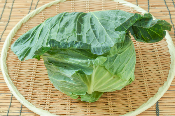 春白菜（4玉サイズ） 【業務用食材の仕入れなら八面六臂】