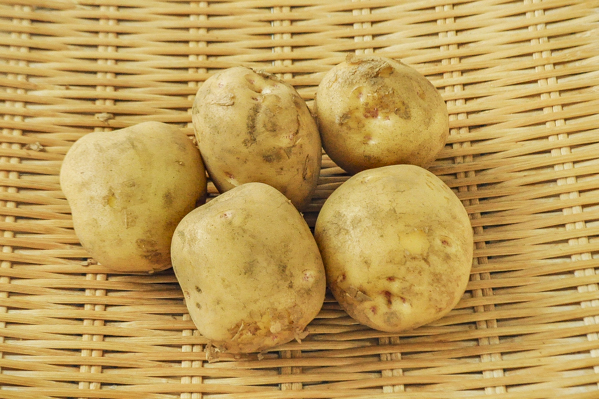 じゃがいも キタアカリ M 八面六臂