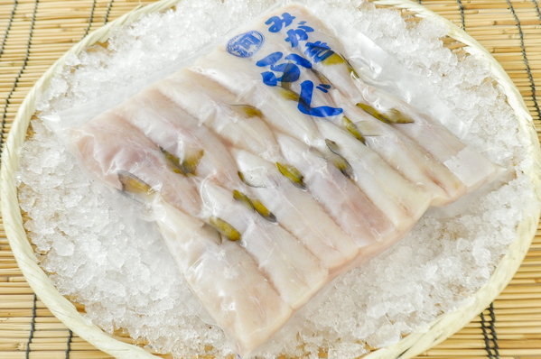 身欠き白サバフグ 八面六臂