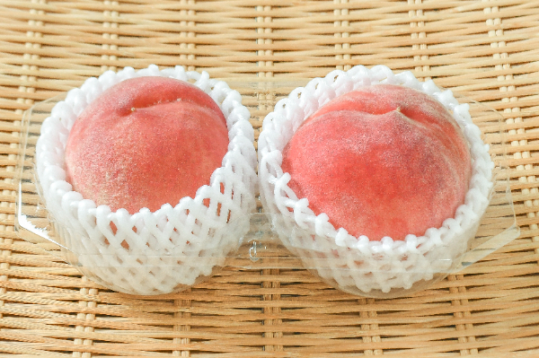 なつっこ（秀）（2L）2玉入