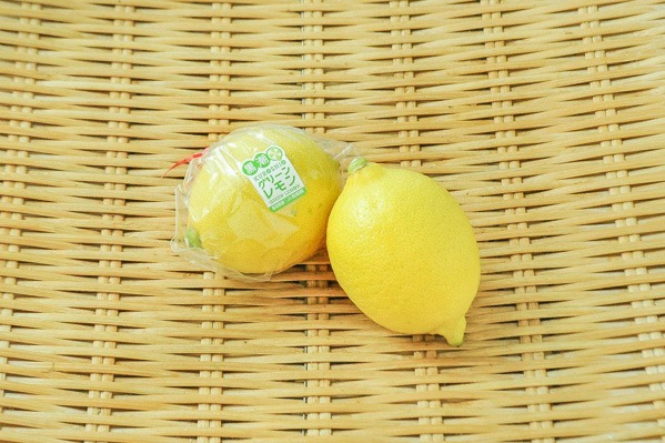 西岩　レモン（安）（Sサイズ）