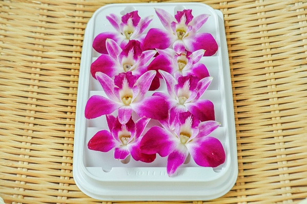 不知火菊姫茶 乾燥花