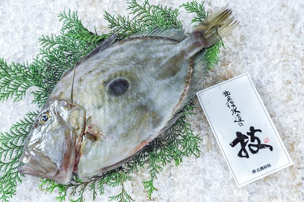 マトウダイ（定置網）技　1kg（大分県佐伯産）