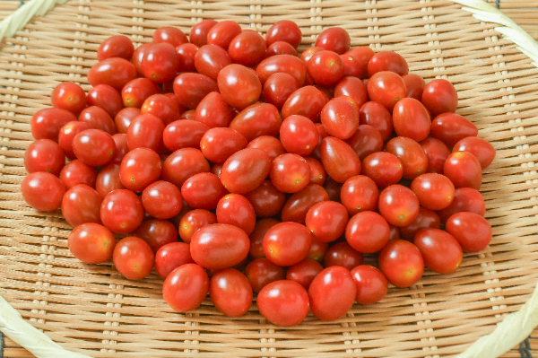 あまえぎみ（クレアレッド）（M）1kg