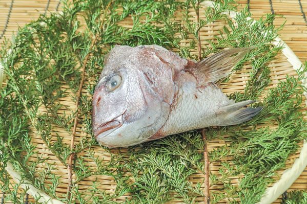 養殖真鯛のアラ（頭）