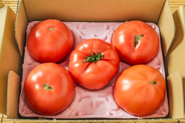 トマト（B込）（小箱）1kg