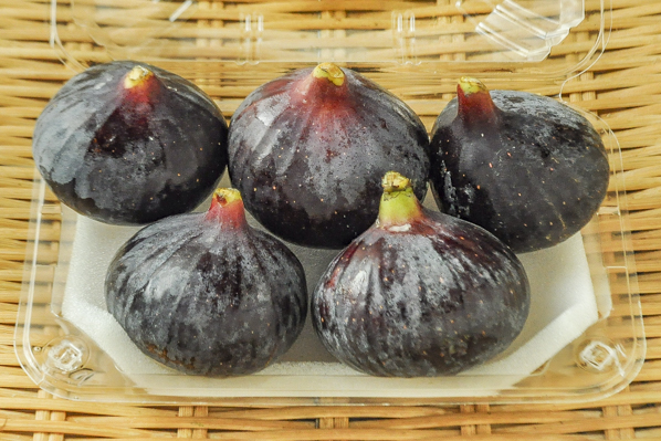 黒いちじく ビオレソリエス 5玉サイズ 八面六臂