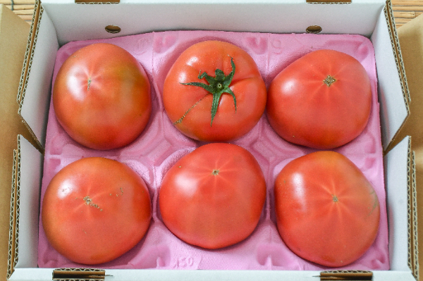 フルーツトマト