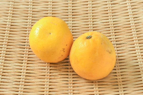 八朔（はっさく）（4L）（赤秀） 【業務用食材の仕入れなら八面六臂】