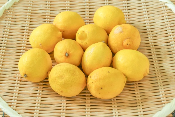 レモン（S）1kg