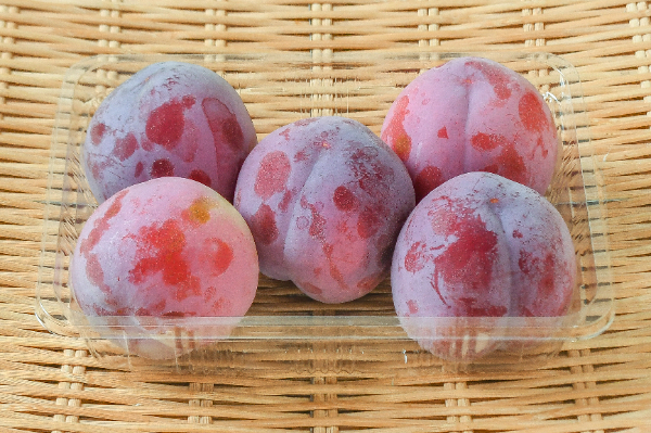 菅野中生 【業務用食材の仕入れなら八面六臂】