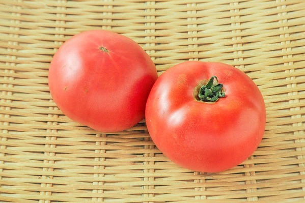 つぶし大玉トマト（加工用）