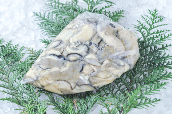 剥き牡蠣（加熱用）（無選別）