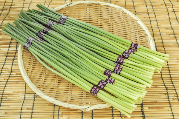 にんにくの芽 【業務用食材の仕入れなら八面六臂】