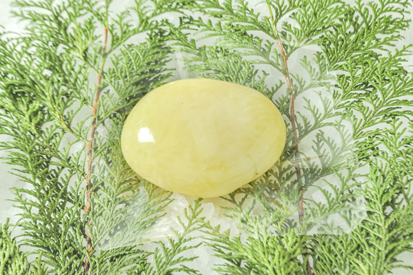 蛸の卵 たこまんま 八面六臂