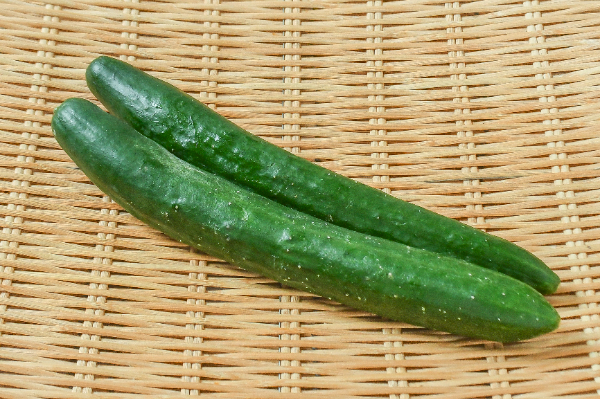 伊藤さんのきゅうり（2本入）