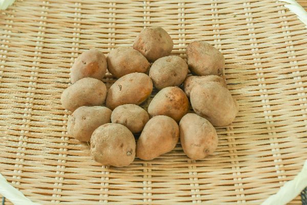 インカのめざめ（S）500gr