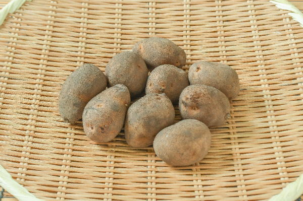 インカのめざめ（S） 【業務用食材の仕入れなら八面六臂】