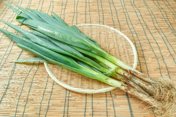 長ねぎ（泥）（L）（多古）6入