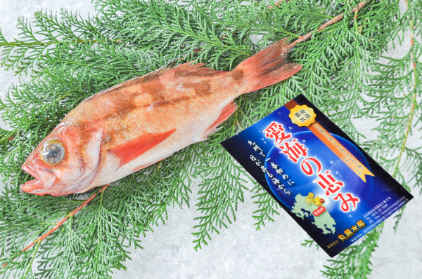 愛海の恵み（丸昌水産）　アカメバル（大分県佐伯産）
