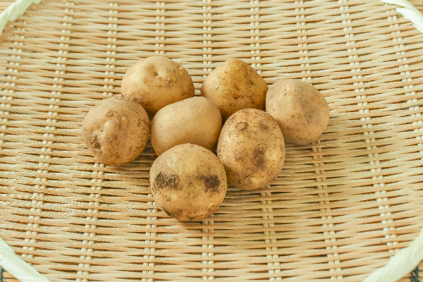 とうや（S）500gr