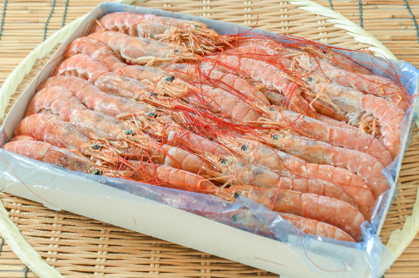 アルゼンチン赤エビ（L-3）（31-40）