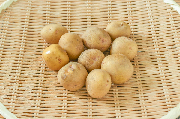 キタアカリ（S）500gr