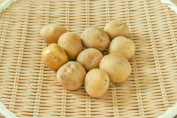 キタアカリ（S）500gr
