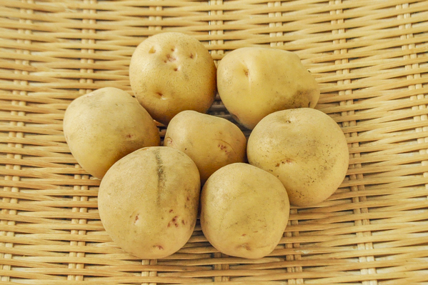 じゃがいも キタアカリ S 八面六臂