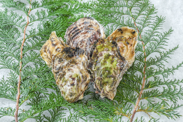 YAMADA Oyster（養殖）（約100-150gサイズ）（S）