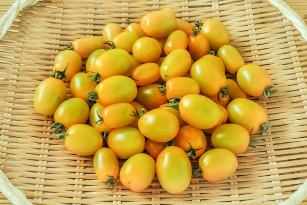 アイコトマト（B）（黄）1kg