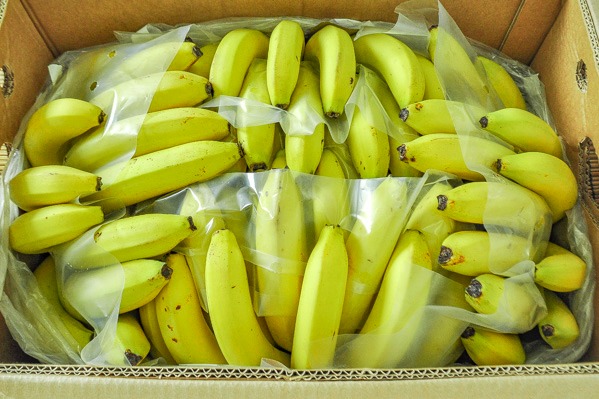バナナ（カラー3）箱13kg