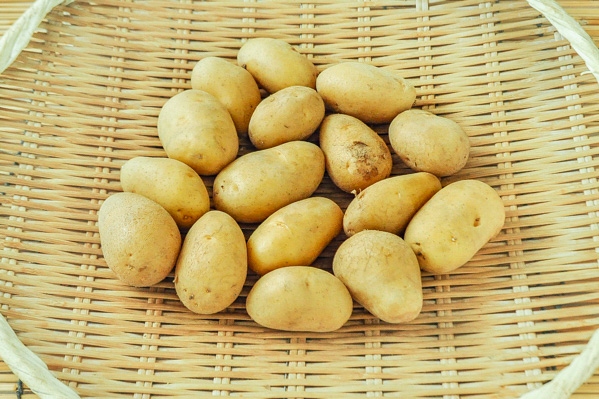 三方原メークイン（S）700gr