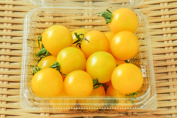 黄色ミニトマト