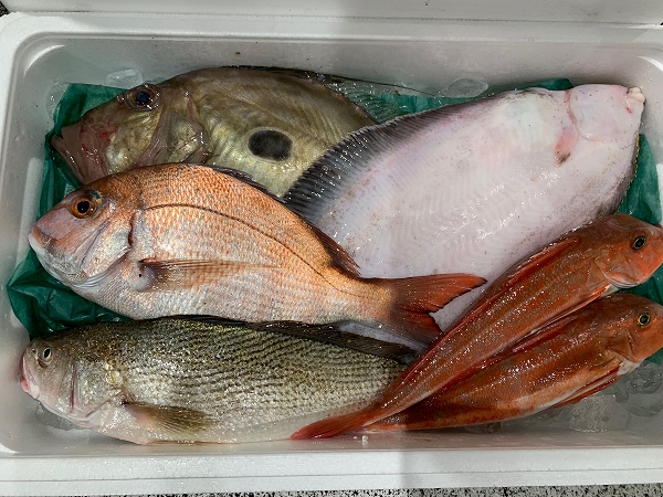 茨城鮮魚BOX