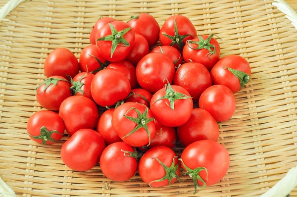 中玉トマト　（1kg）