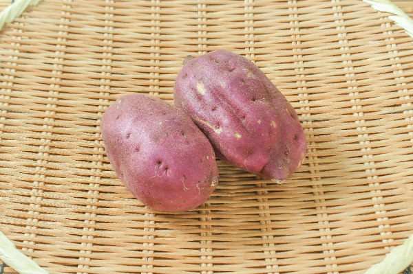 紅東（丸M）500gr