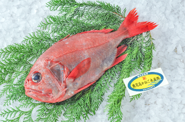 鹿児島かねご水産　ハシキンメ（鹿児島県産）