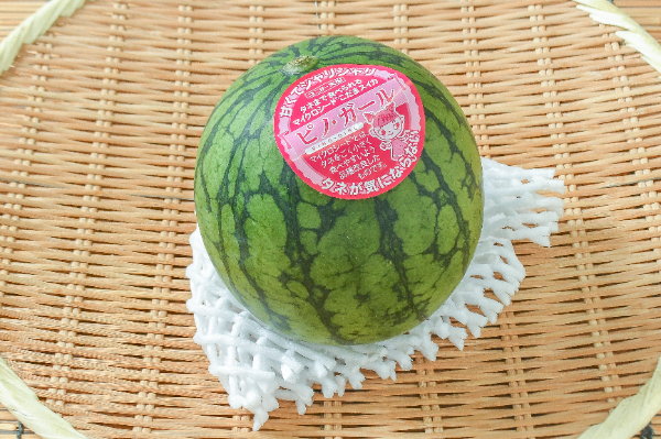 小玉すいか（赤肉種） 【業務用食材の仕入れなら八面六臂】