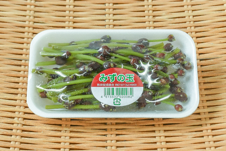 たまみず