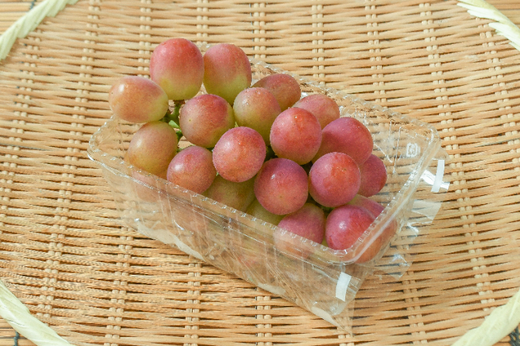 サニードルチェ（黒秀）500gr