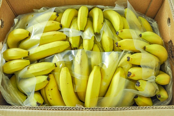 バナナ（カラー4）箱13kg