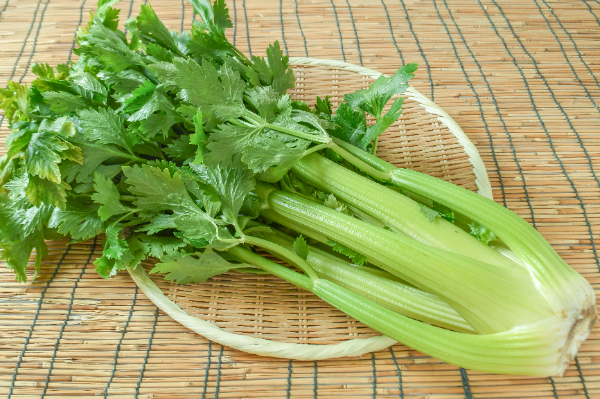 セロリ　　他の方は購入しないでください セロリ（L）（大束） 【業務用食材の仕入れなら八面六臂】