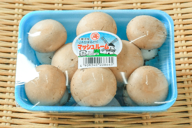 ブラウンマッシュルーム