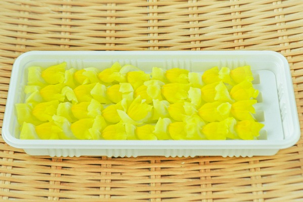 金魚草（黄色）
