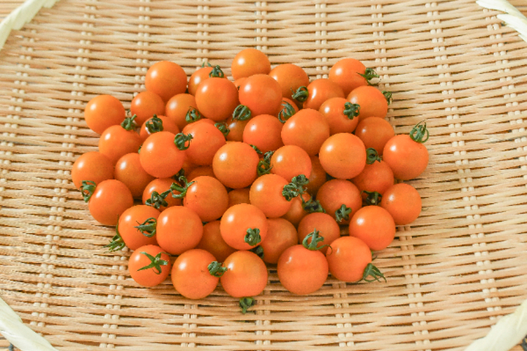 あまえぎみ（オレンジ）（中）500gr
