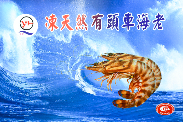 有頭殻付き車海老 (2)