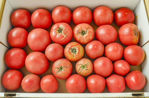 tomatoさん専用 １２セット-