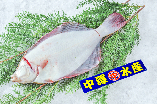 中澤水産　活〆マコガレイ